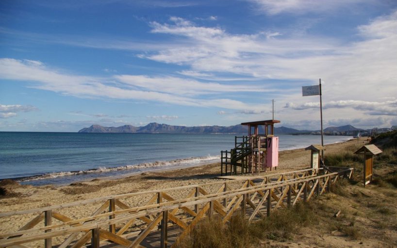 Playa De Muro Quallen 2019